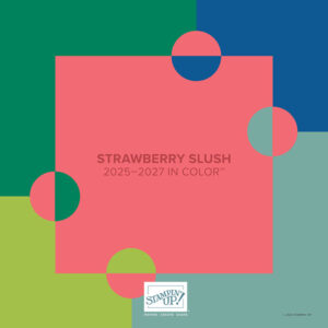 2025-2027 In Color