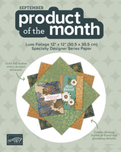 Product of the Month